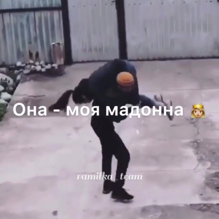 Scheme of sexual intercourse