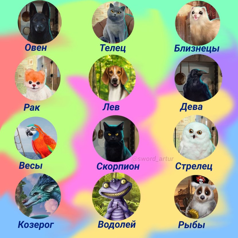 Belinda Benchich in a swimsuit