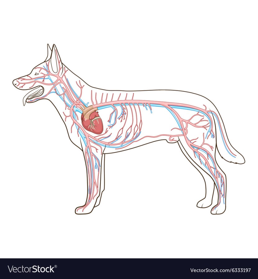 FRZ.TEMP refrigerator