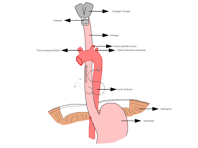 Scheme for connecting the passage of the light switch