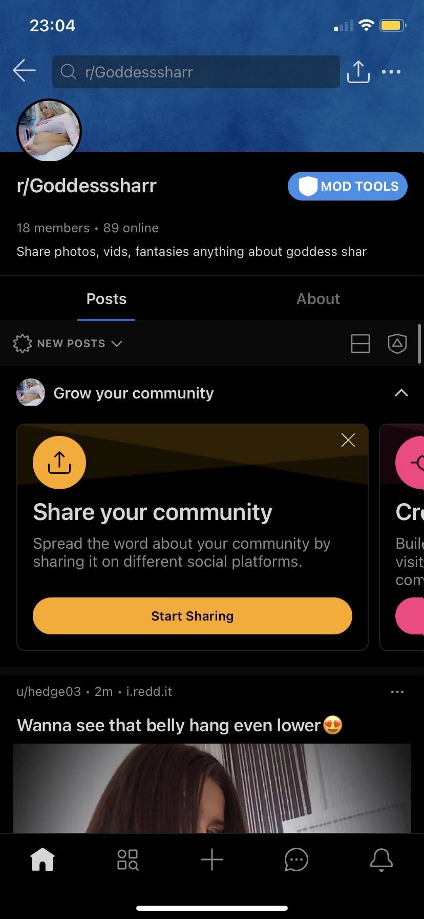 Tally Sharp Plus Saiz