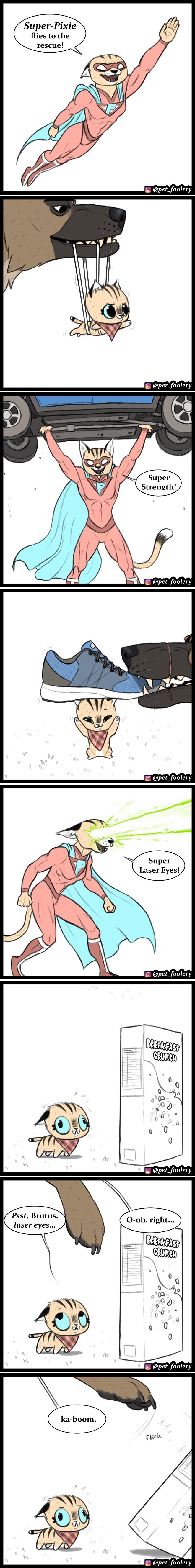 Pet Foolry Brutus and Pixie