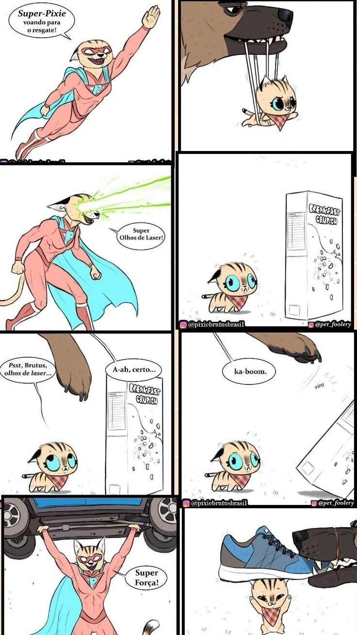 Pixie and Brutus (95 photos)