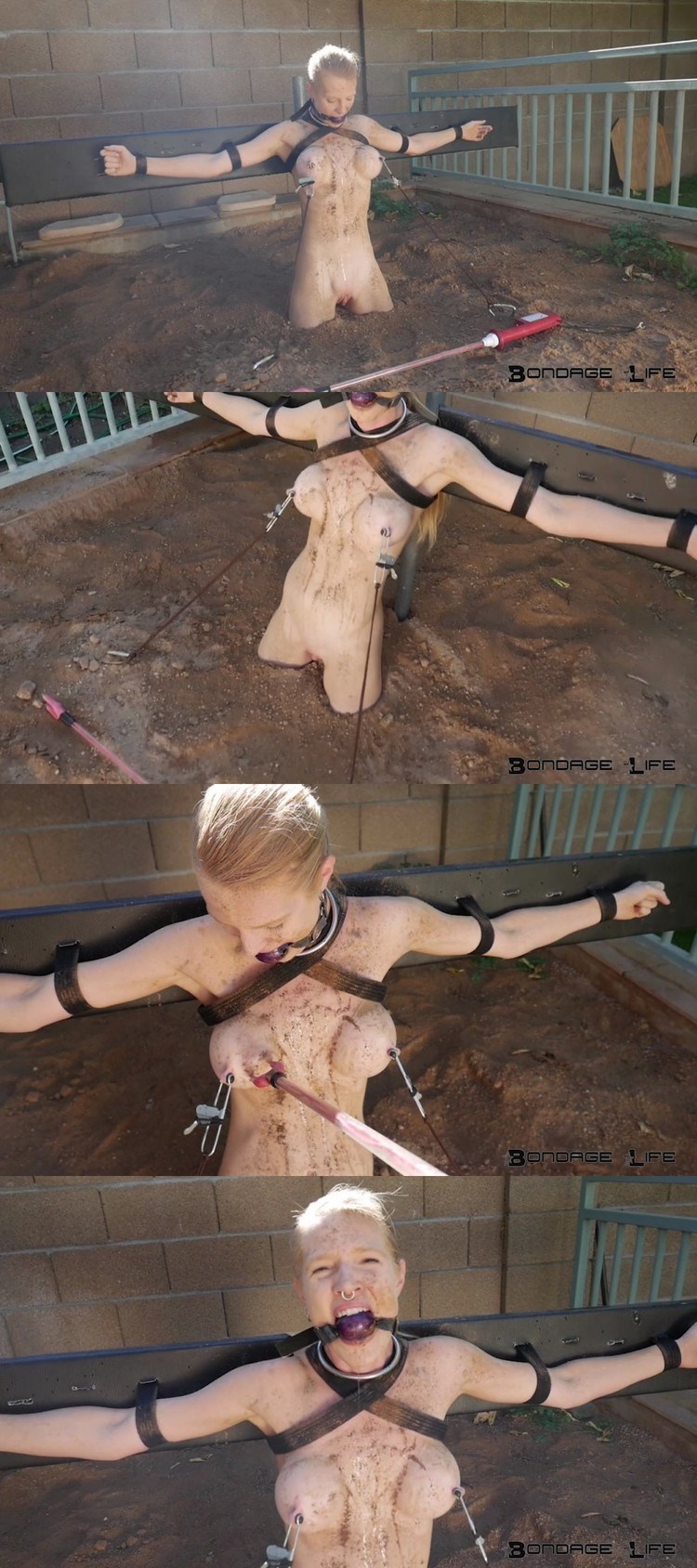 Rachel Greyhound Latex Floor Wash (96 photos)