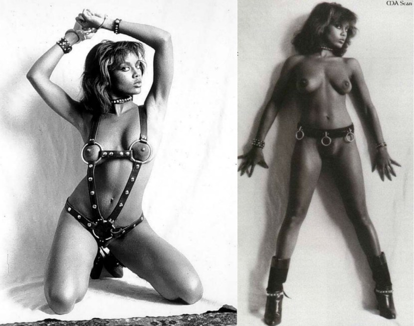 Vanessa Williams scandalous pictures