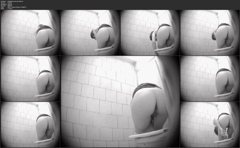 Hidden camera in Japanese toilet