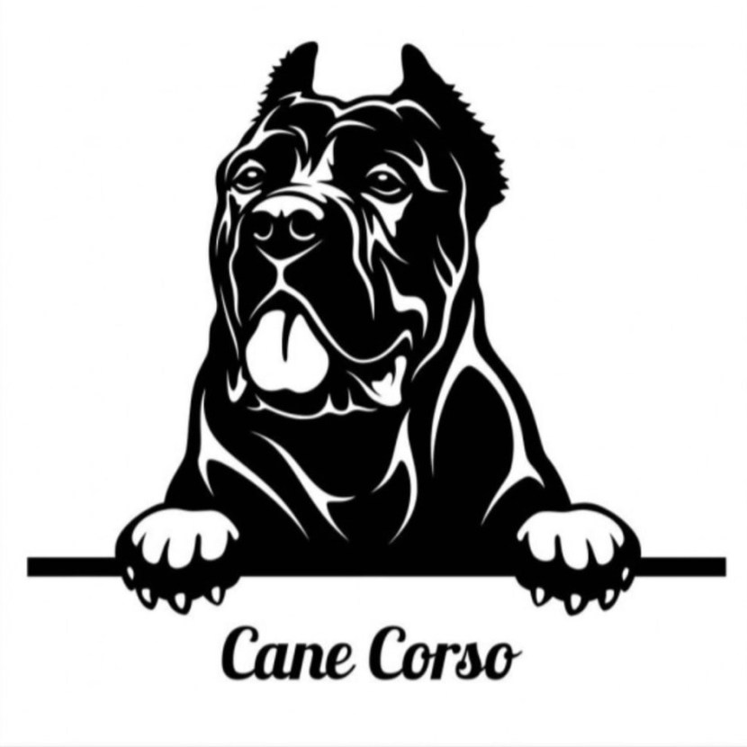 Kane Corso silhouette