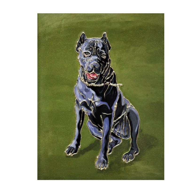 Alabay on a black background