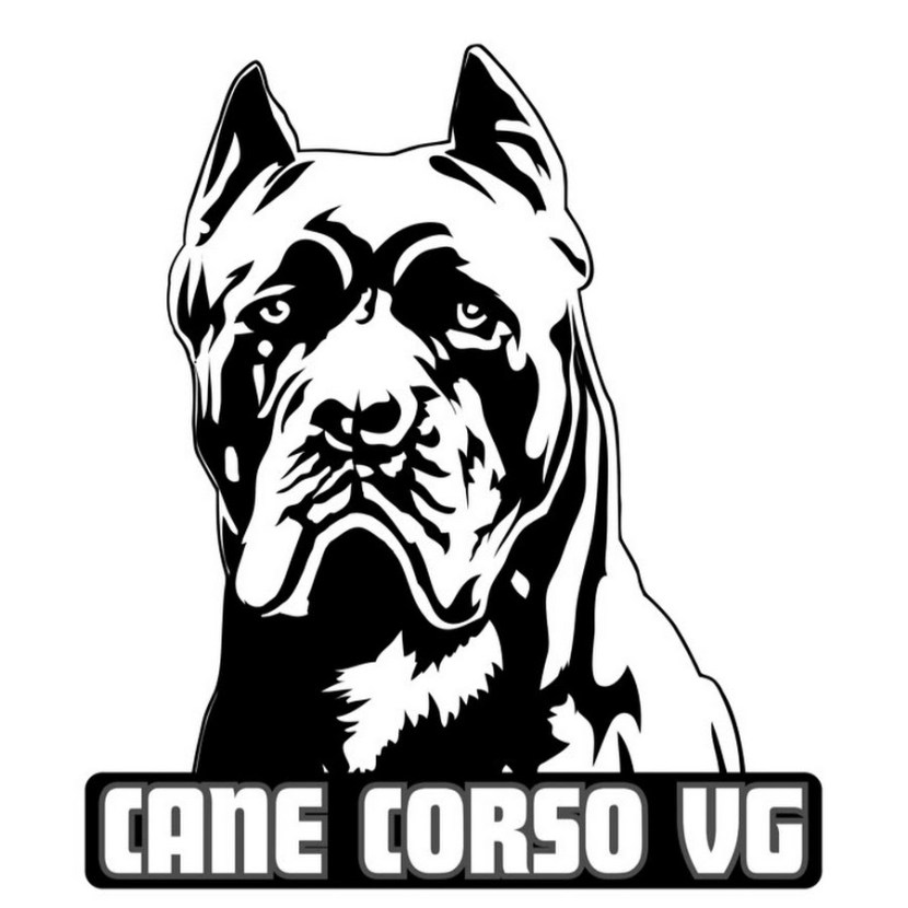 Kanya Corso is uncomfortable