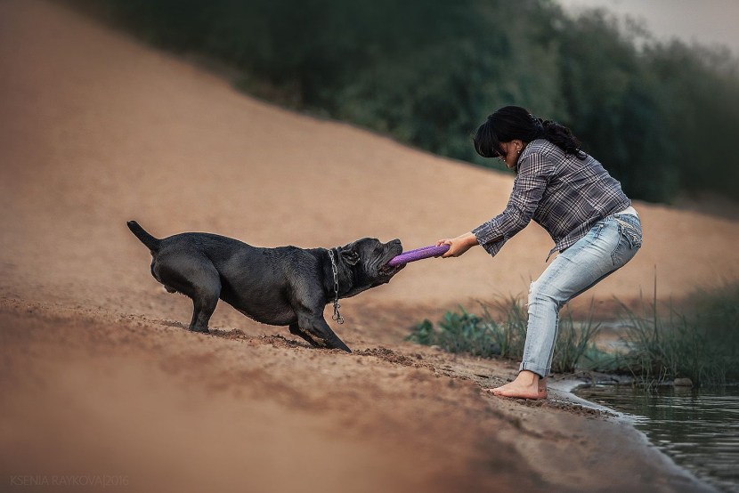 Kanya Corso is black