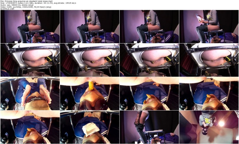 Femdom toilet slave toilet