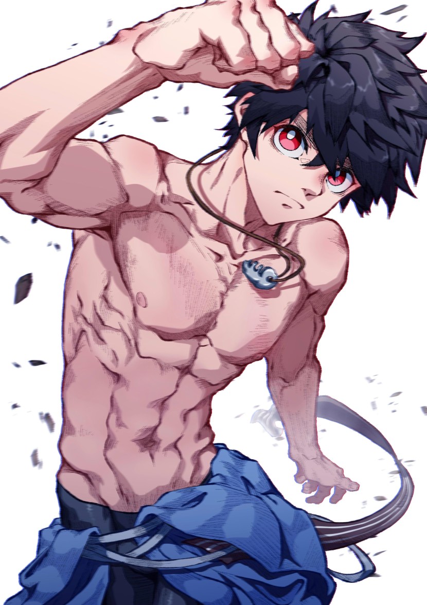 Camono incident / Kemono Jihen