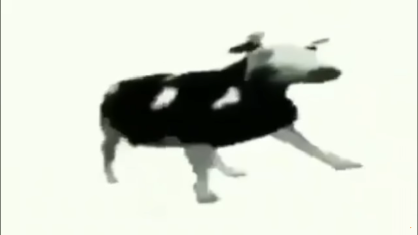 Women's muscles through the eyes of the artist