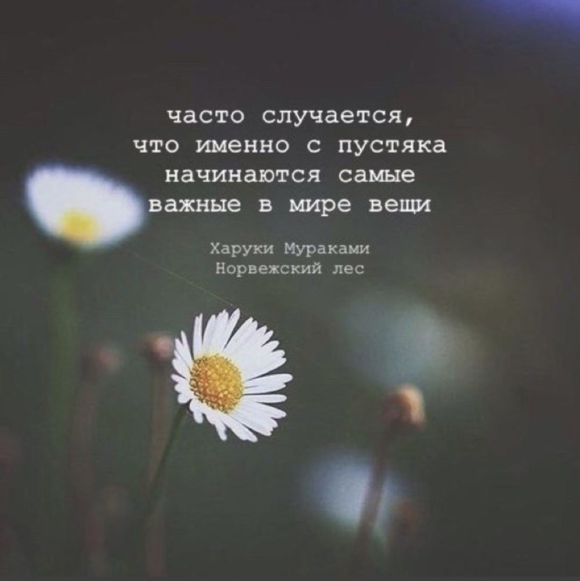 Statements about a happy life