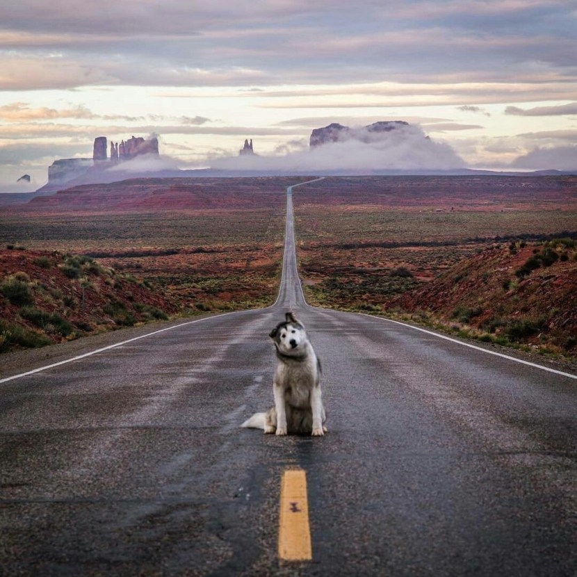 I stand on the right track