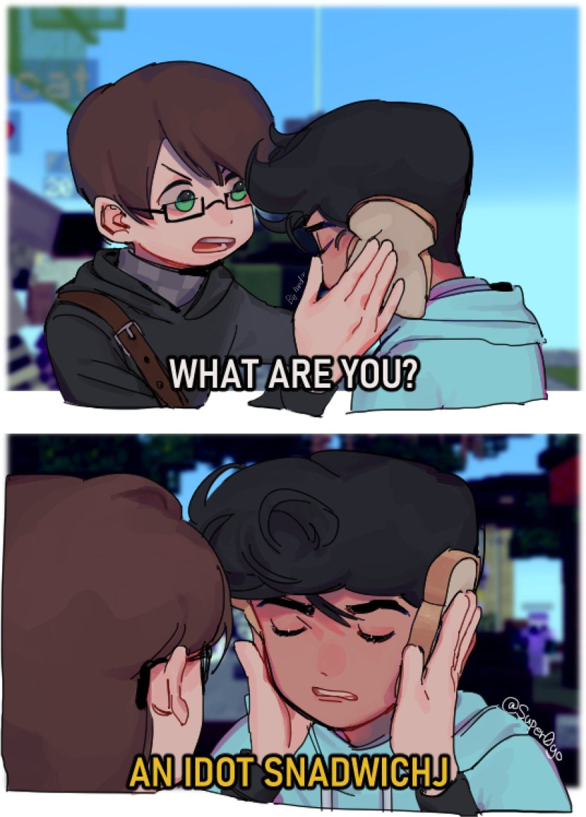 Badbohalo X Skeppy fan fiction