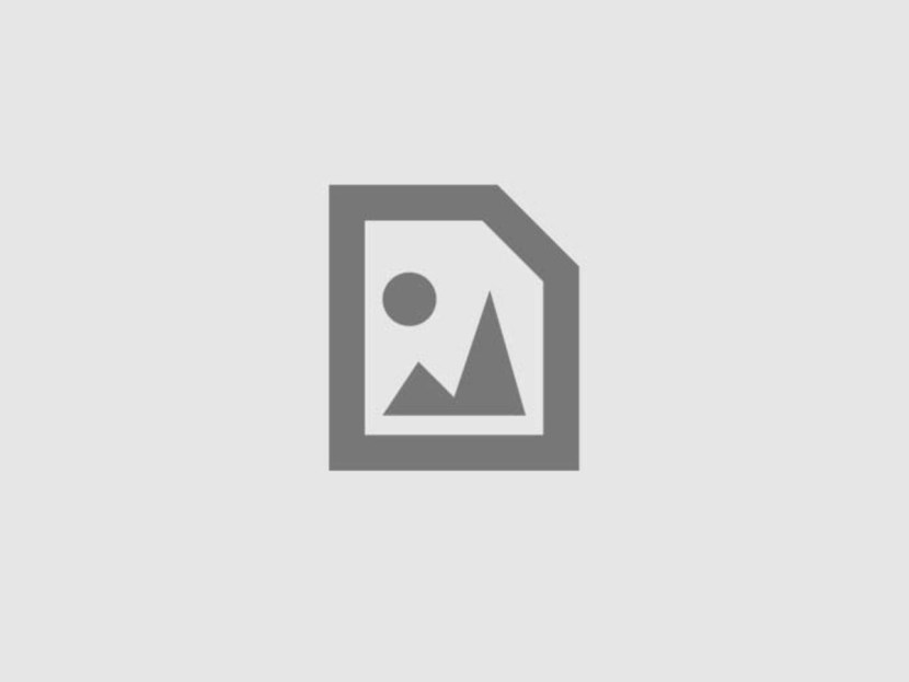 Drista and Dream Art