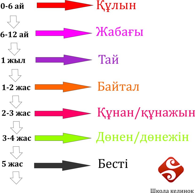 Passion and tenderness