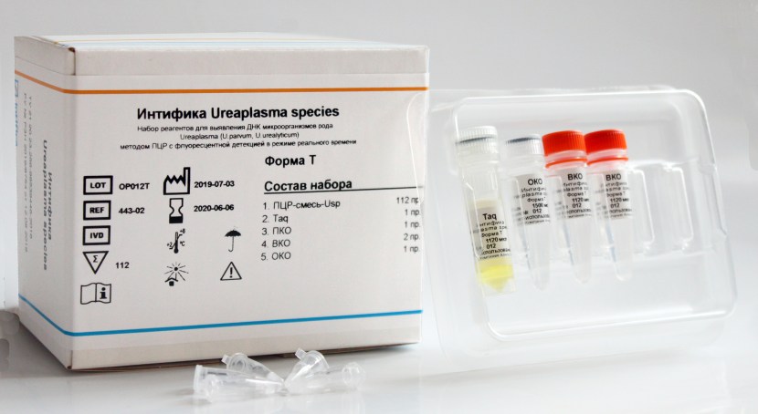 Sugar lips two girls