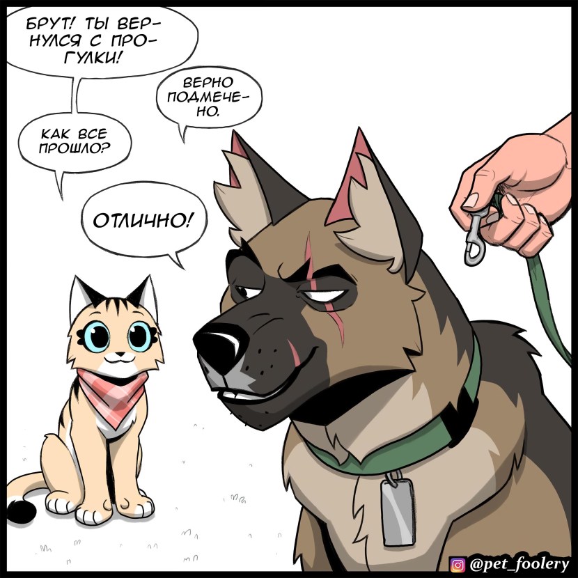 83.3702 voltage regulator connection circuit