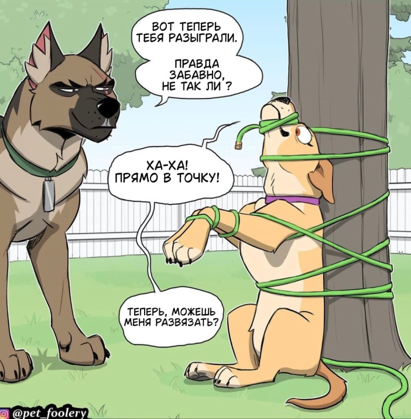 Pixie and Brutus in Amoning AS