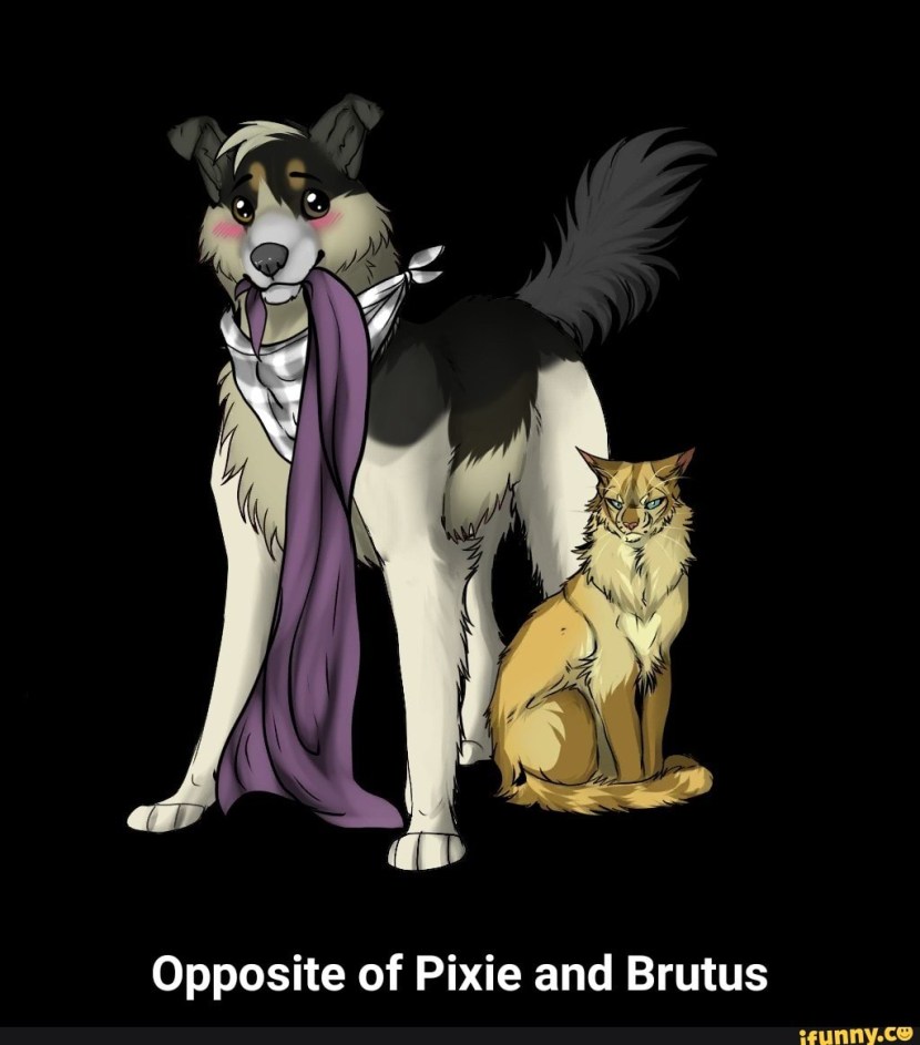 Pixie and Brutus 34