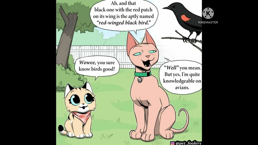 Pixie and Brutus crossover