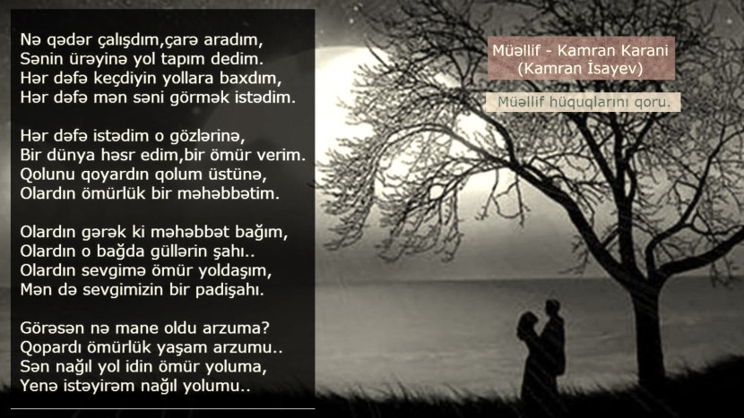 Complete the Sentences. Use the Phrases from the Box