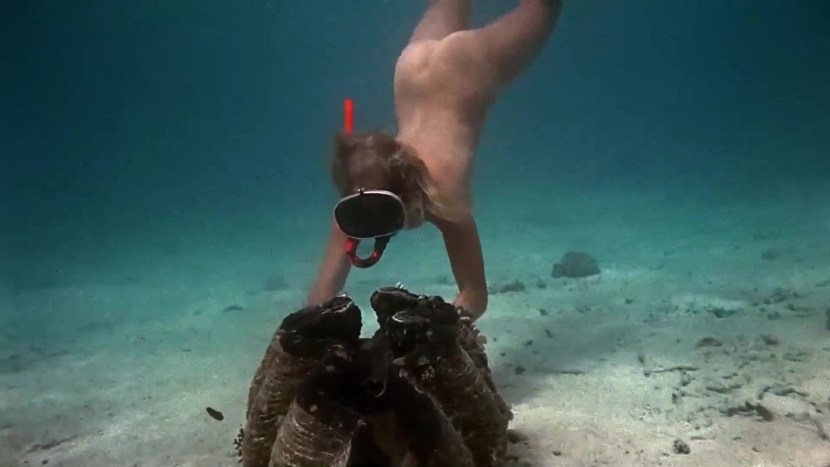 Ursula Andress Nude Photo Clips and Pics Internet Picture