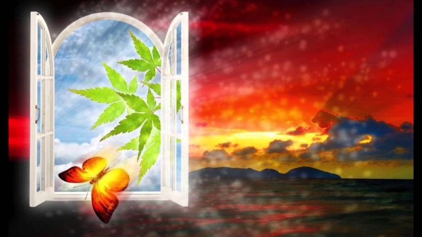 Bang Dream Nyubara Reona