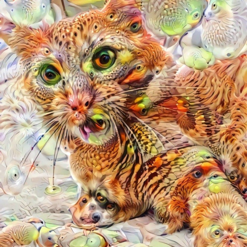 Pictures of the neural network