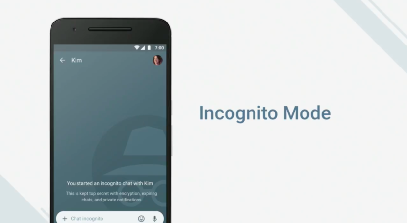 Incognito translation into Russian