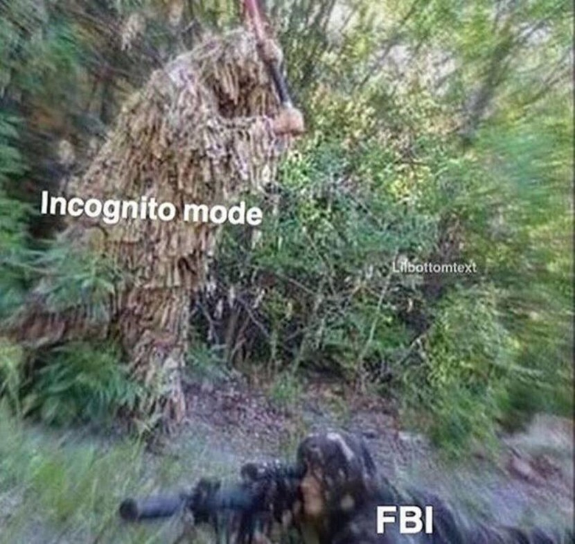 The picture is incognito