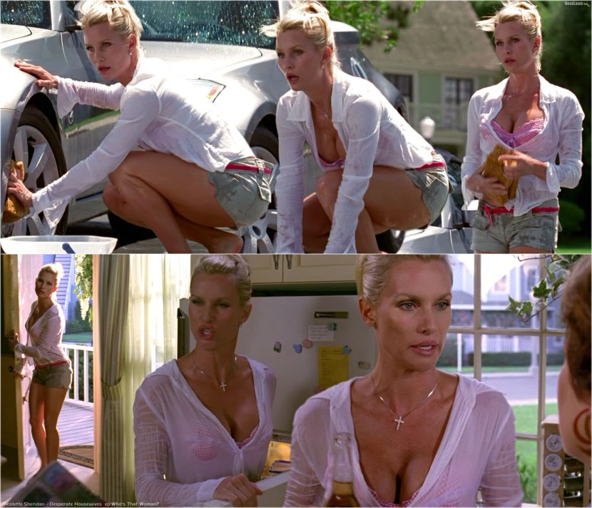 Nicollette Sheridan pornography