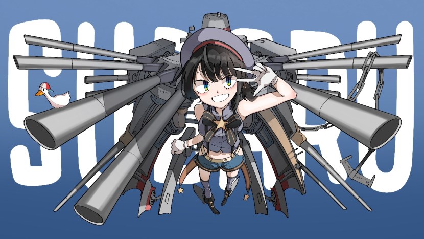 The structure of the genitals in ducks