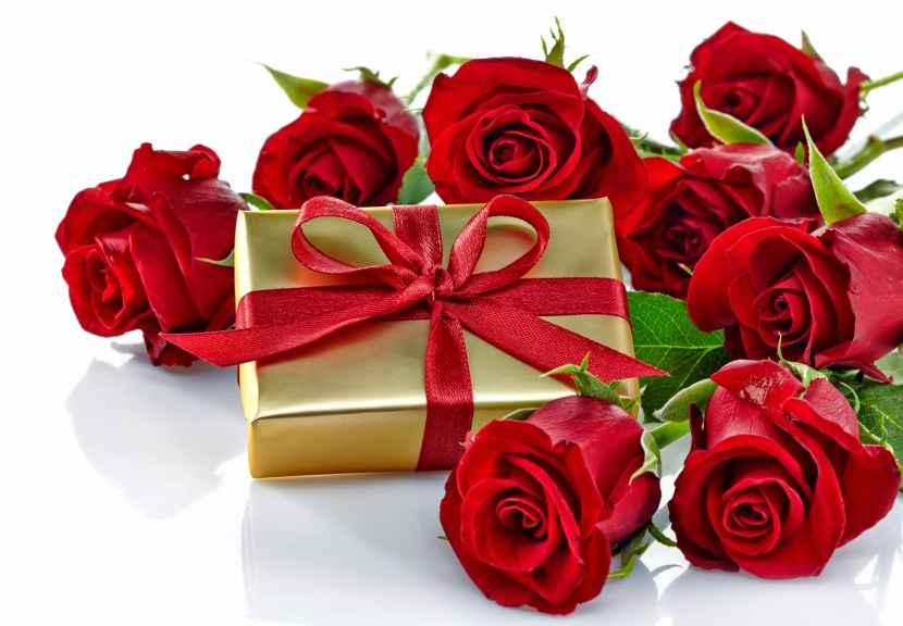 Pornohab drawing screensaver