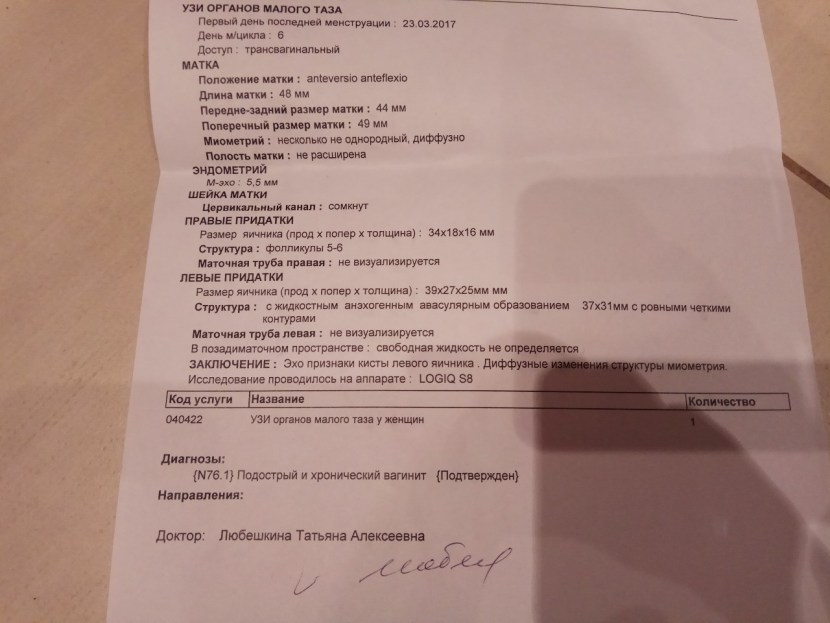 Ultrasound of the pelvic organs conclusion norm