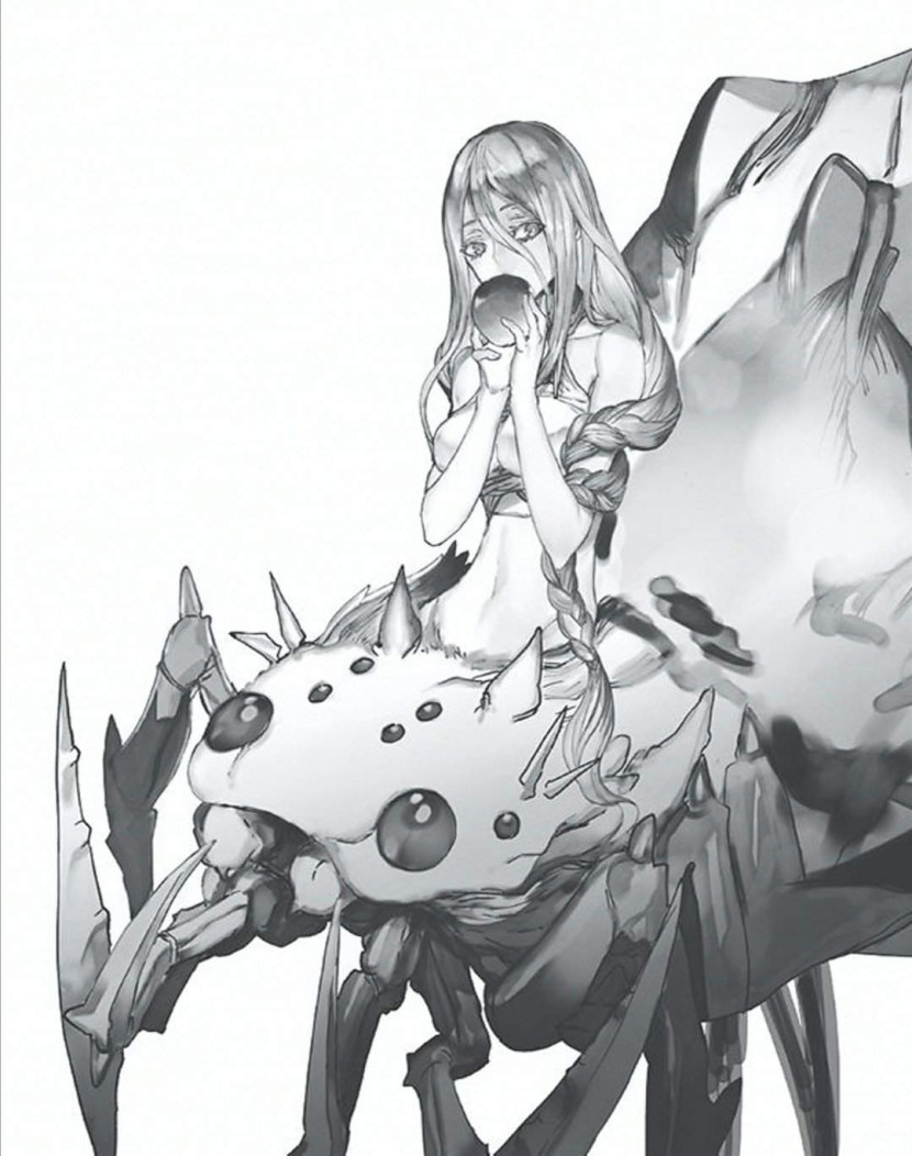 Kumo desu ga nani ka art