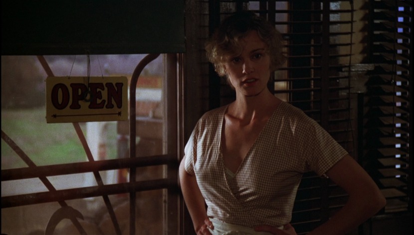 BPW 295x430 shock absorber