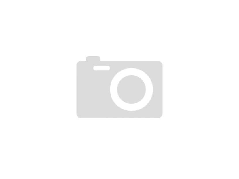 BPW 295x430 shock absorber