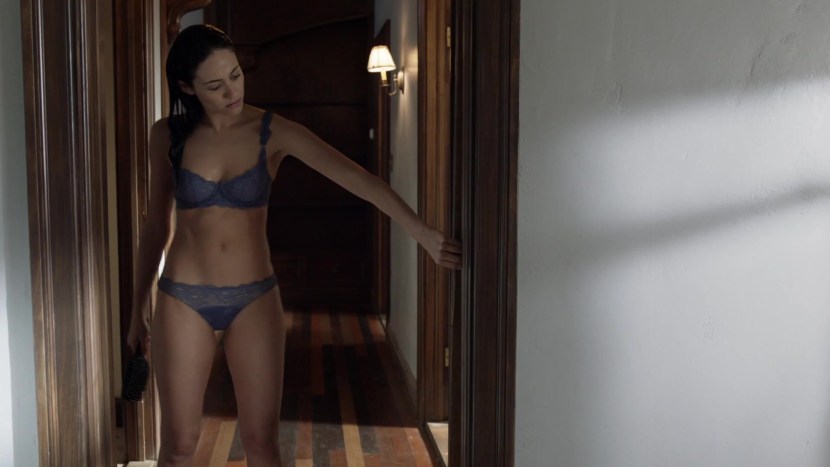 Walking dead game poster