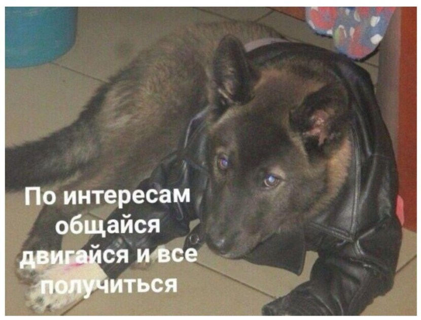 Anime koi de wa naku