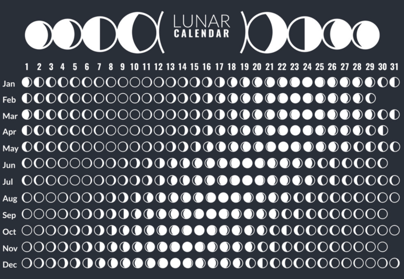 Larry Johnson Sally Face Comics