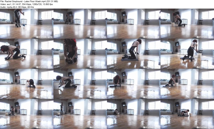 Life_of_greyhound Slave_training_Humiliation