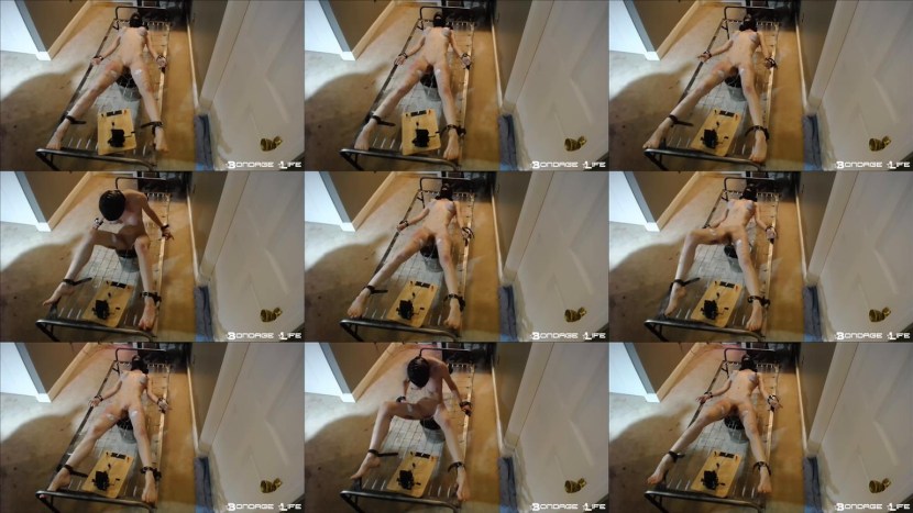 BDSM stretching Rachel Greyhound