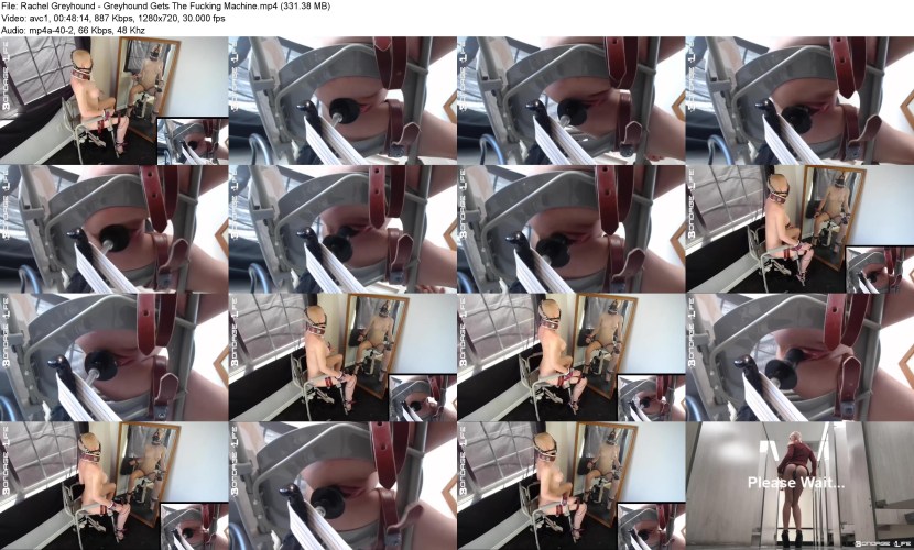 Poponka postoperative for a cat with your own hands Pattern