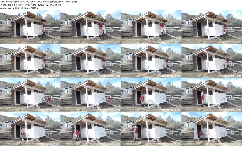 Rachel Greyhound Fucking Machine Girl Edition