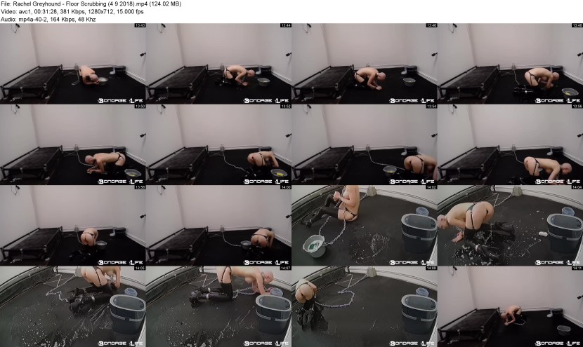 Hard-Extreme Kitty-Bullwhipped Little Bitch-Brutalmaster