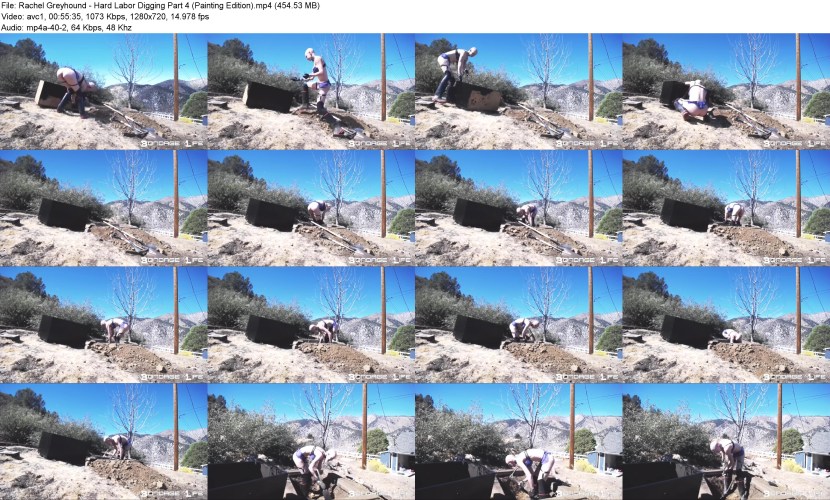 Read and Complete the Sentences