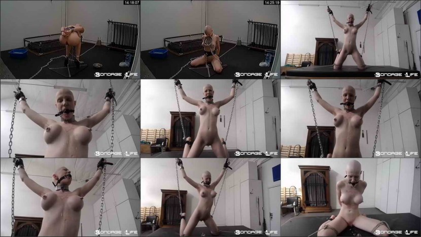 Rachel Greyhound Porn actress